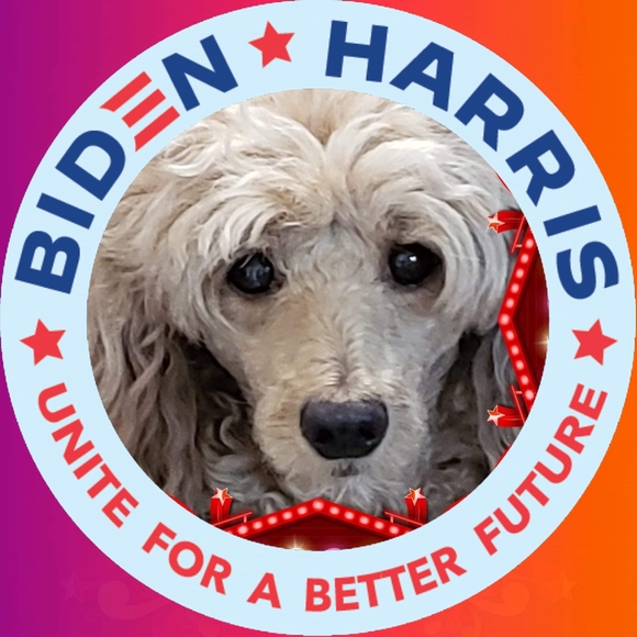 Meet your Posher, Paula - Picture 1 of 1